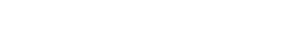 SIESA Odoo